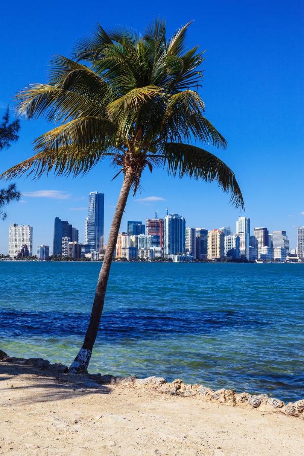 Enchanting Cozy Apartment 10 Min Away From Airport, Calle 8, Brickell, Coral Gables, The Beach And More! ميامي المظهر الخارجي الصورة